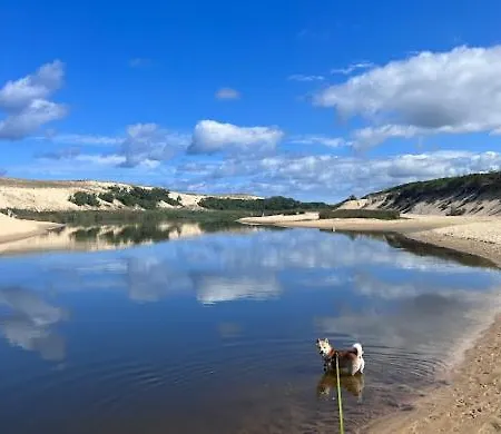Un Petit Coin De Paradis Leon